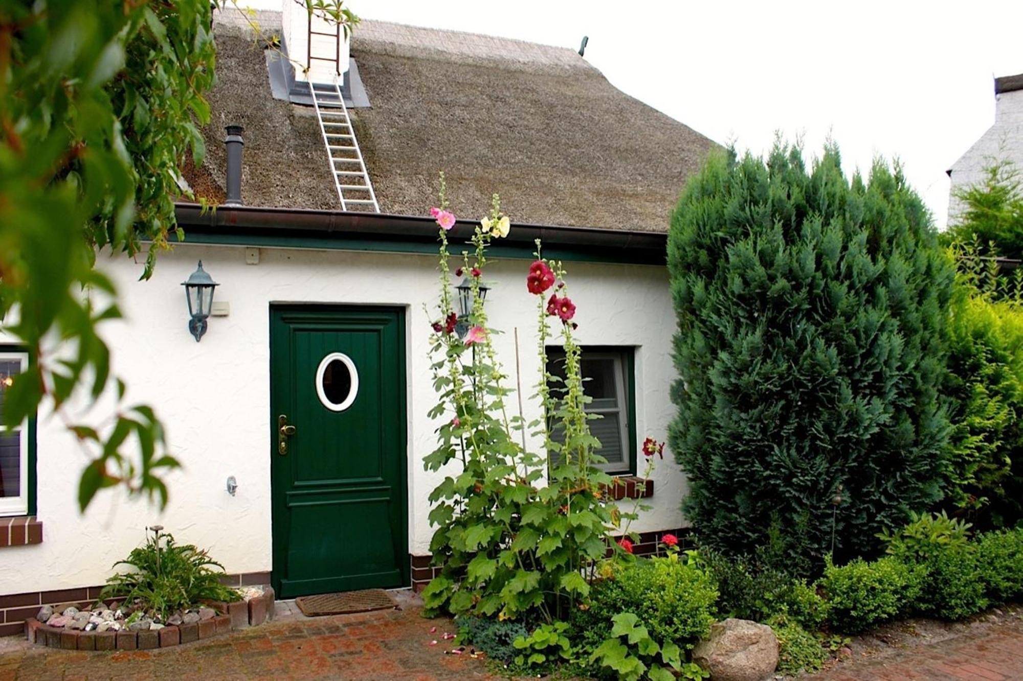 Birkenstrasse 10 Fischerhus Zingst Εξωτερικό φωτογραφία